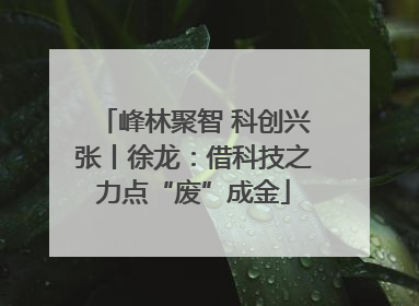 峰林聚智 科创兴张丨徐龙：借科技之力点“废”成金