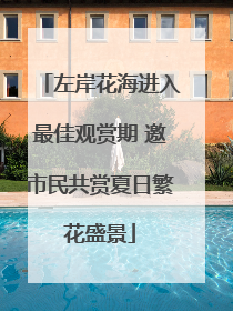 左岸花海进入最佳观赏期 邀市民共赏夏日繁花盛景