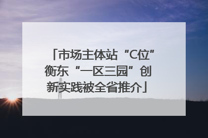 市场主体站“C位” 衡东“一区三园”创新实践被全省推介