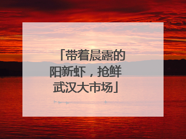 带着晨露的阳新虾，抢鲜武汉大市场
