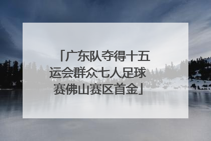 广东队夺得十五运会群众七人足球赛佛山赛区首金