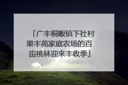 广丰桐畈镇下社村果丰苑家庭农场的百亩桃林迎来丰收季