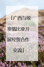 广西与埃塞俄比亚开展经贸合作交流