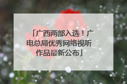 广西两部入选！广电总局优秀网络视听作品最新公布