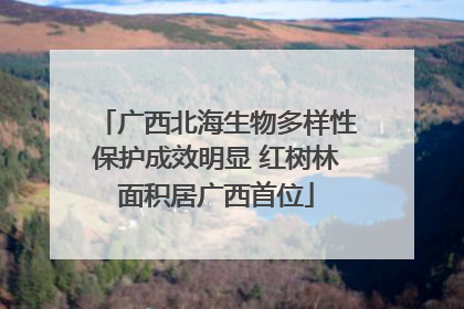 广西北海生物多样性保护成效明显 红树林面积居广西首位