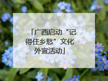 广西启动“记得住乡愁”文化外宣活动