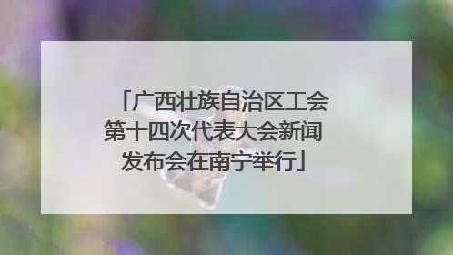 广西壮族自治区工会第十四次代表大会新闻发布会在南宁举行