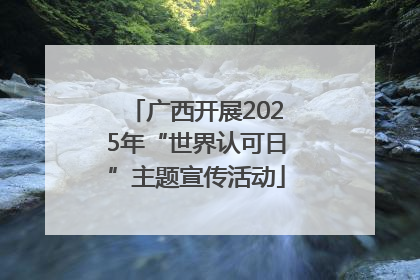 广西开展2025年“世界认可日”主题宣传活动