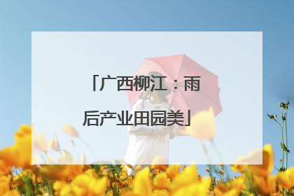 广西柳江：雨后产业田园美