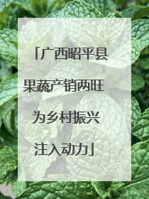 广西昭平县果蔬产销两旺 为乡村振兴注入动力