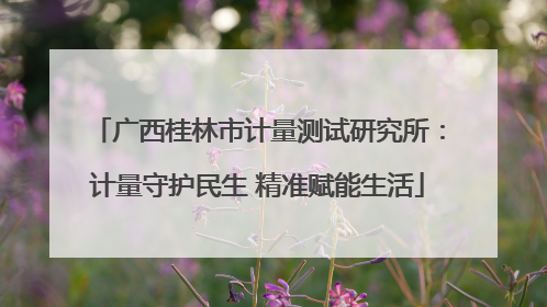 广西桂林市计量测试研究所：计量守护民生 精准赋能生活