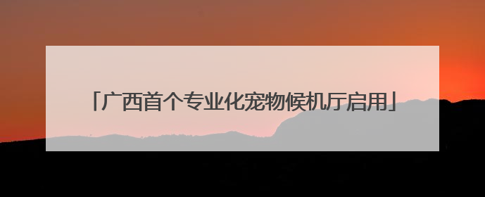 广西首个专业化宠物候机厅启用