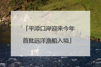 平潭口岸迎来今年首批远洋渔船入境