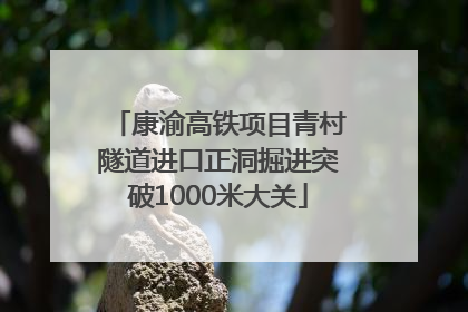 康渝高铁项目青村隧道进口正洞掘进突破1000米大关