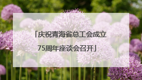 庆祝青海省总工会成立75周年座谈会召开