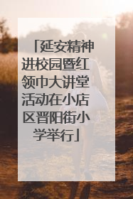 延安精神进校园暨红领巾大讲堂活动在小店区晋阳街小学举行