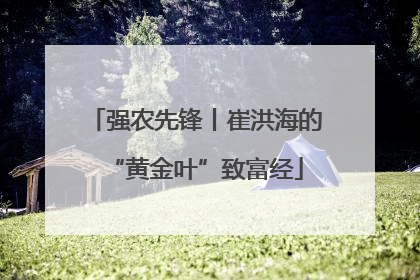 强农先锋丨崔洪海的“黄金叶”致富经