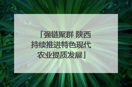 强链聚群 陕西持续推进特色现代农业提质发展