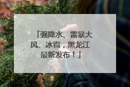 强降水、雷暴大风、冰雹，黑龙江最新发布！