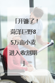 开镰了！菏泽巨野85万亩小麦进入收割期