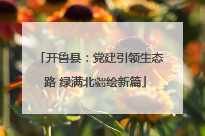 开鲁县：党建引领生态路 绿满北疆绘新篇