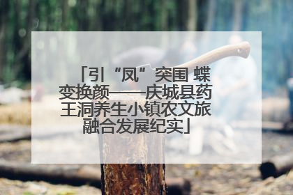 引“凤”突围 蝶变换颜——庆城县药王洞养生小镇农文旅融合发展纪实