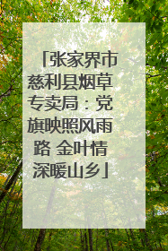 张家界市慈利县烟草专卖局：党旗映照风雨路 金叶情深暖山乡