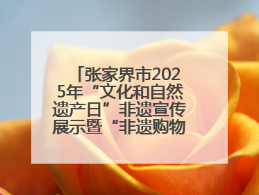 张家界市2025年“文化和自然遗产日”非遗宣传展示暨“非遗购物节”活动在慈利县盛大启幕