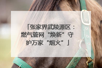 张家界武陵源区：燃气管网“焕新”守护万家“烟火”