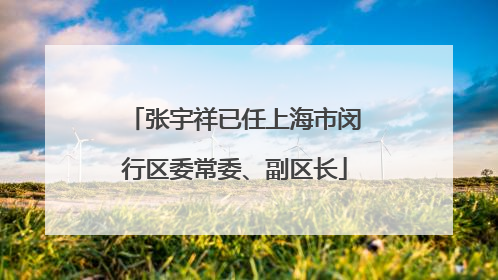 张宇祥已任上海市闵行区委常委、副区长