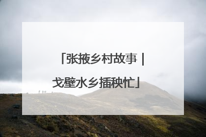 张掖乡村故事｜戈壁水乡插秧忙