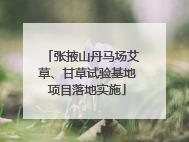 张掖山丹马场艾草、甘草试验基地项目落地实施