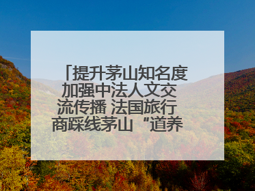 提升茅山知名度 加强中法人文交流传播 法国旅行商踩线茅山“道养文化产品”