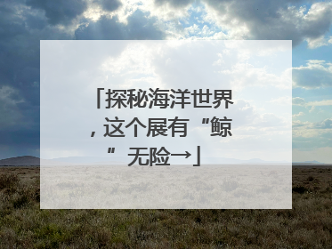 探秘海洋世界，这个展有“鲸”无险→