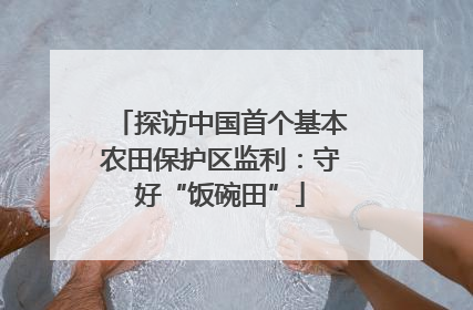 探访中国首个基本农田保护区监利：守好“饭碗田”
