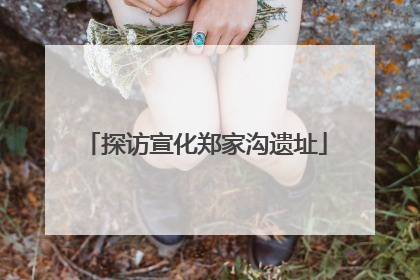 探访宣化郑家沟遗址