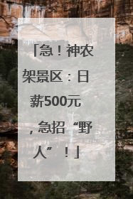 急！神农架景区：日薪500元，急招“野人”！