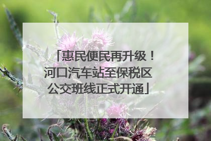惠民便民再升级！河口汽车站至保税区公交班线正式开通