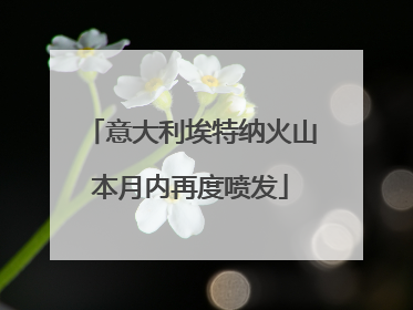 意大利埃特纳火山本月内再度喷发