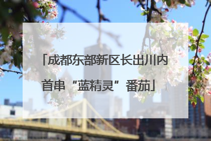 成都东部新区长出川内首串“蓝精灵”番茄