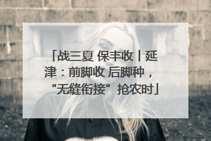 战三夏 保丰收丨延津：前脚收 后脚种，“无缝衔接”抢农时