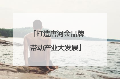 打造唐河金品牌 带动产业大发展