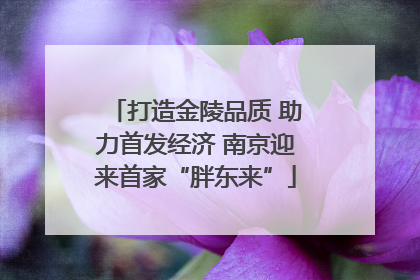 打造金陵品质 助力首发经济 南京迎来首家“胖东来”