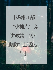 扬州江都：“小摊点”旁讲政策 “小爬爬”上话民生
