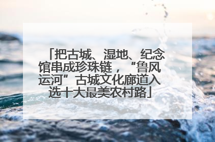 把古城、湿地、纪念馆串成珍珠链，“鲁风运河”古城文化廊道入选十大最美农村路