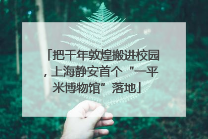 把千年敦煌搬进校园，上海静安首个“一平米博物馆”落地