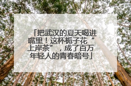 把武汉的夏天喝进嘴里！这杯栀子花“上岸茶”，成了百万年轻人的青春暗号