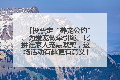 投票定“养宠公约”、为爱宠做牵引绳、比拼谁家人宠最默契，这场活动有趣更有意义