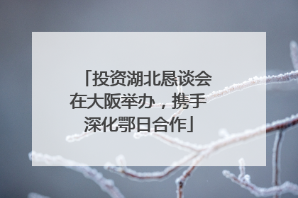 投资湖北恳谈会在大阪举办，携手深化鄂日合作