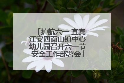 护航六一 宜宾江安四面山镇中心幼儿园召开六一节安全工作部署会
